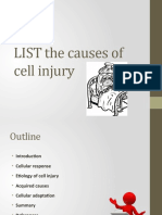 LIST The Causes of Cell Injury