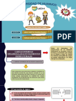 Tarea 4-3 Cargas Internas