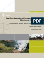Real-Time Evaluation of NICFI - Brazil Country Report