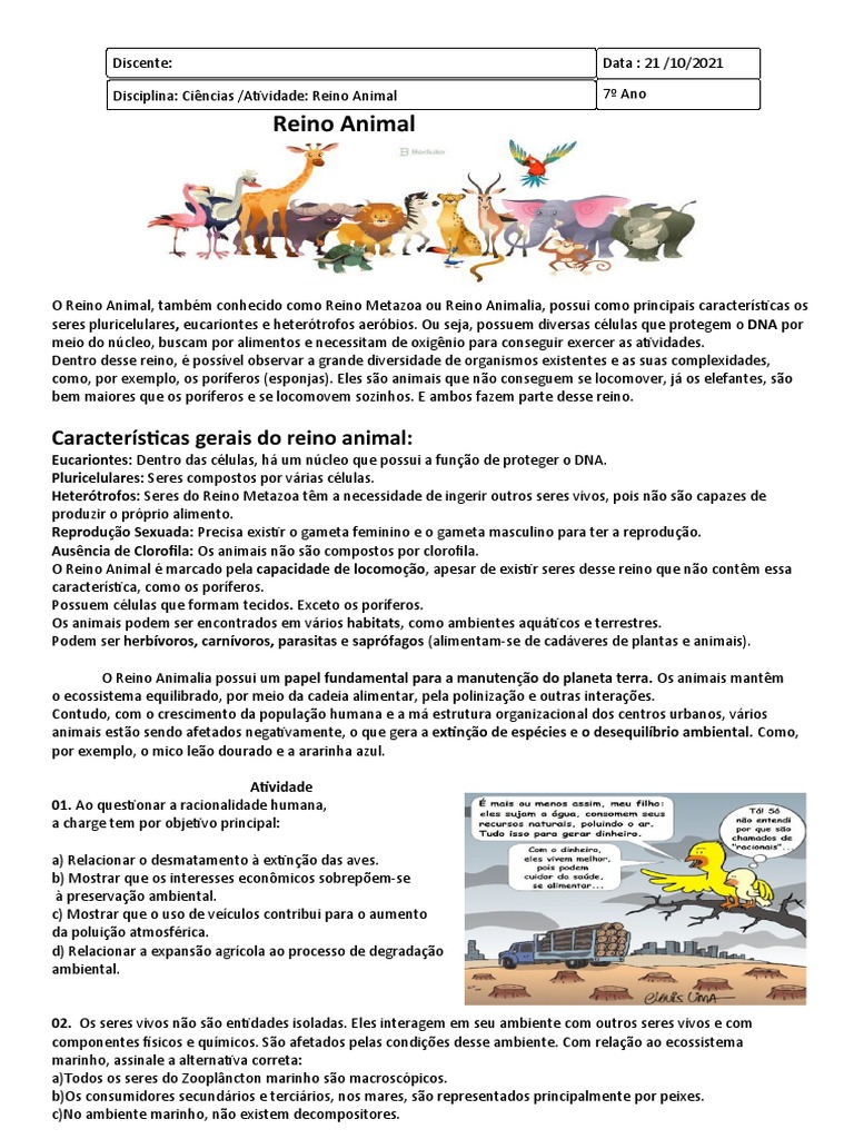 Atividades sobre o Reino Animal 7º Ano | PDF | Esponja | Ambiente natural