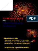 Embryo and Fetal Development