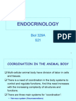 Endocrinology: Biol 329A S21