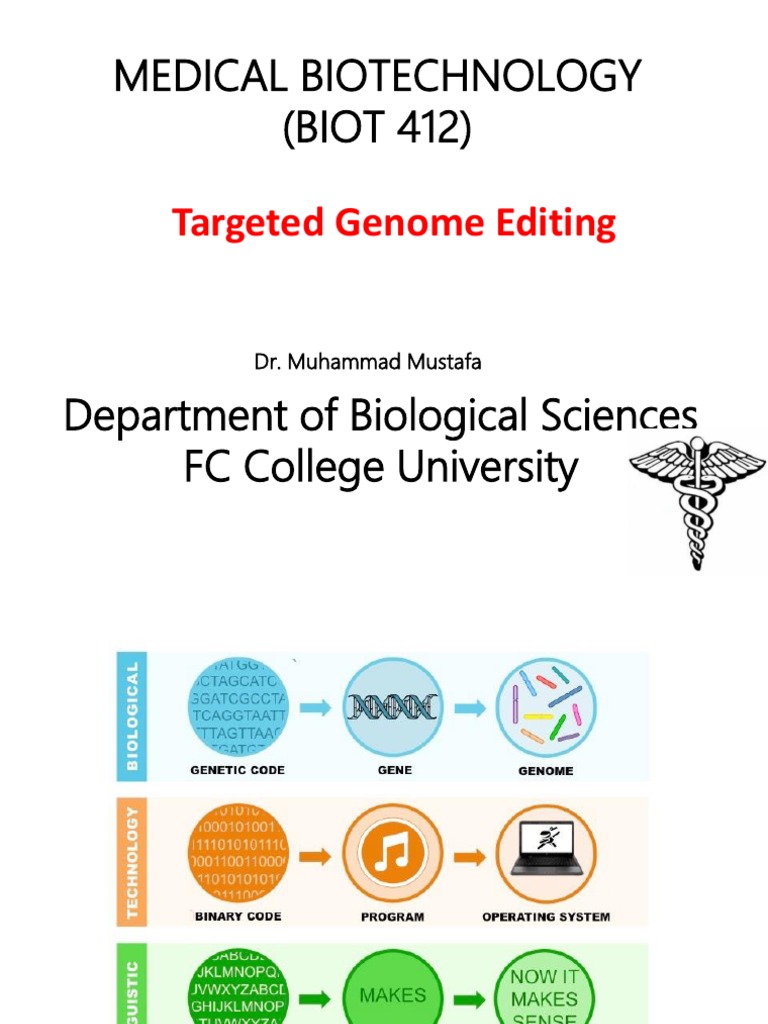 Lecture 8 Targeted Genome Editing | PDF