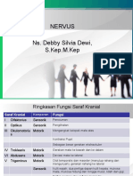 Nervus