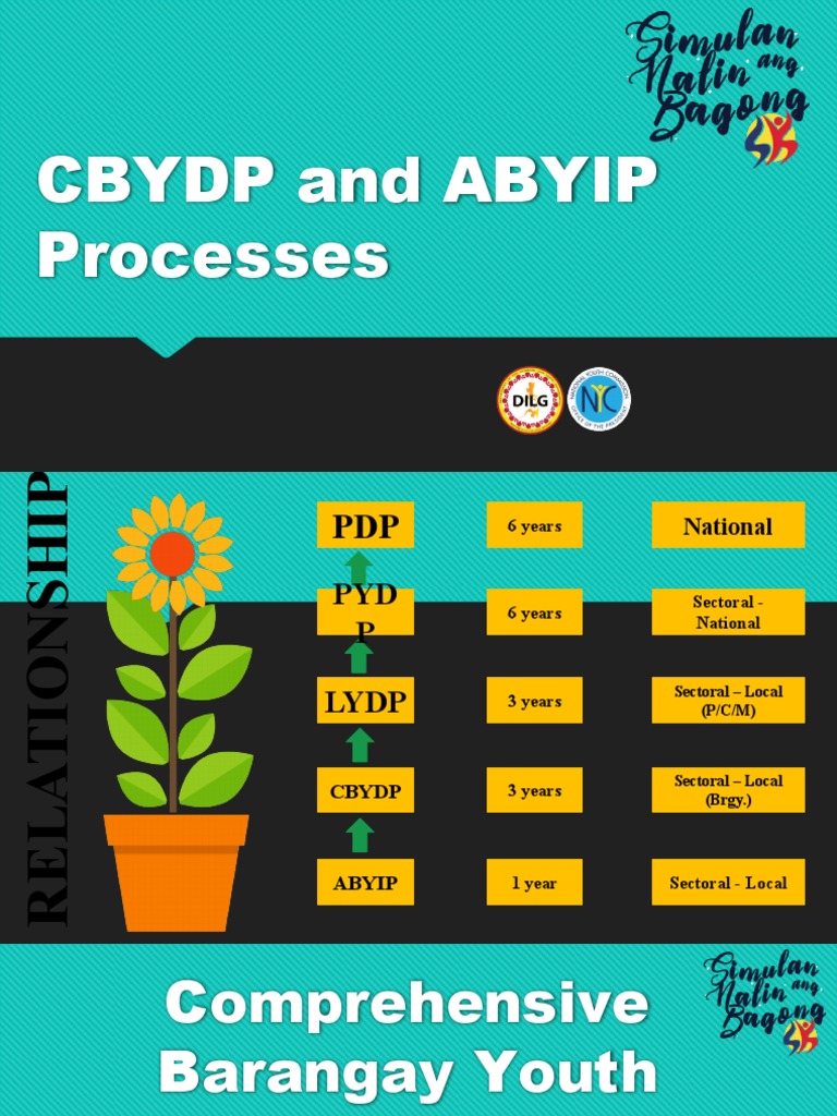CBYDP and ABYIP Formulation Process | PDF | Government