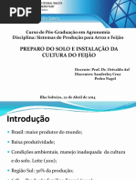 Preparo do solo para feijão caupi