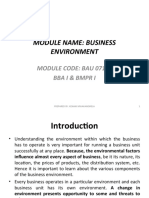 Module Name: Business Environment: Module Code: Bau 07105 Bba I & BMPR I