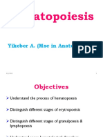 Hematopoiesis: Yikeber A. (MSC in Anatomy)