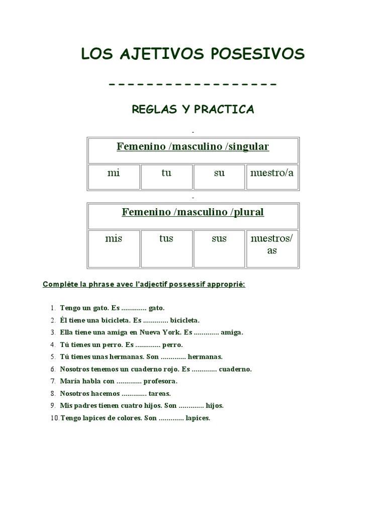 Les Adjectifs Possessifs En Espagnol Adjectifs Possessifs en Espagnol | PDF