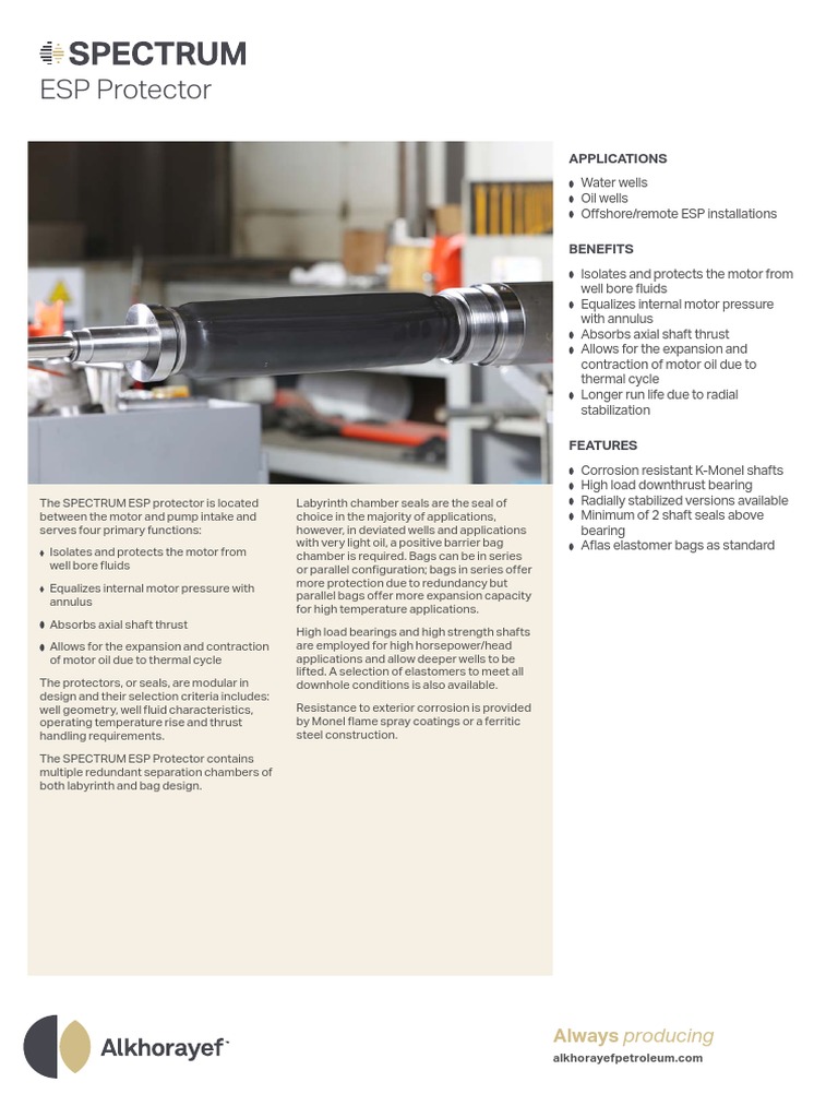 Spectrum ESP Protector Overview | PDF | Civil Engineering | Energy ...