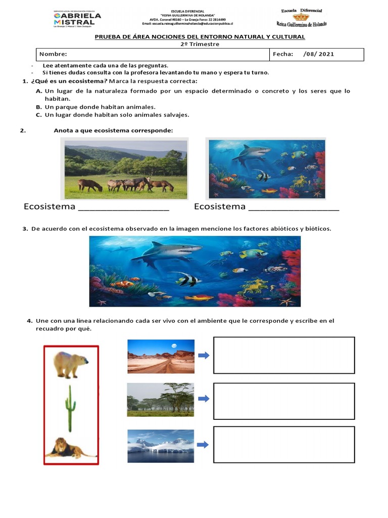 Prueba de Área Nociones Del Entorno Natural y Cultural | PDF