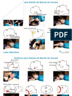 Access Bars Headchart Jan2019 2page Photos SPANISH US