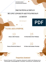 Kelompok 1 - Ruang Lingkup Akuntansi Dan Auditing