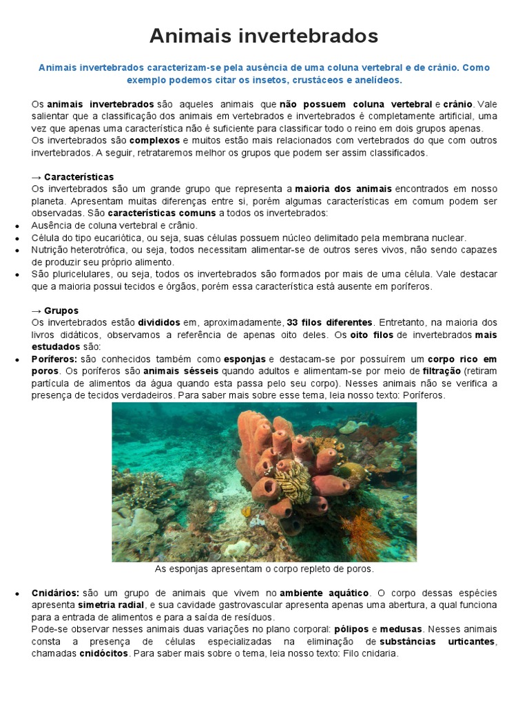 Classificação dos Animais Invertebrados | PDF | Esponja | Moluscos