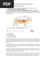 Download Sistem Pencernaan Makanan Pada Ruminansia by yheni-1992 SN55886881 doc pdf