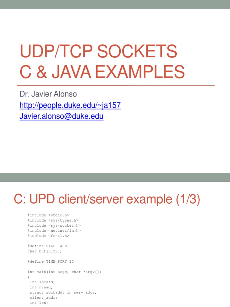 C JAVA Sockets Examples PDF Network Socket Software Development