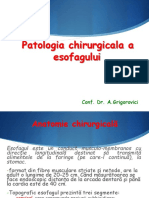Curs 1 Patologia Esofagului