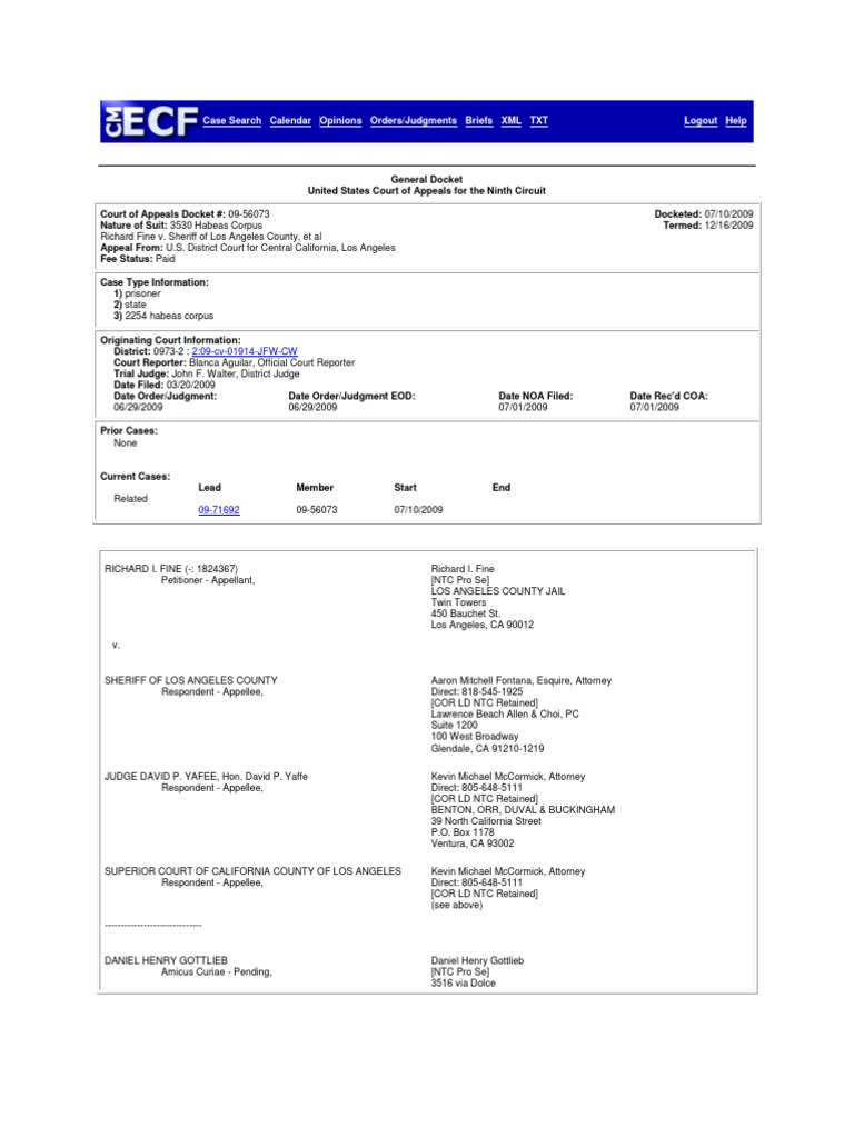 Docket Richard Fine 9th Circuit Court of Appeal 09-56073 | Brief (Law