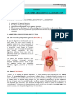 u3- Nutricion I-sistema Digestivo y Digestion-Def v 2.0