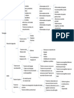 Cuadro Sinoptico Patologias Practica 2