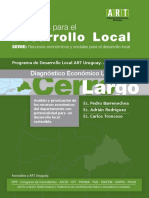 Diagnóstico Económico de Cerro Largo. ART2008