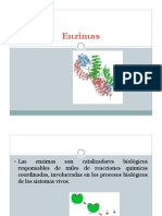 Enzimas: catalizadores biológicos