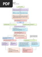 Esquema del Proceso Legislativo en Guatemala | PDF | Veto | Gobierno