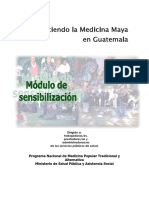Medicina Maya