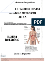 AnatomoFisiologia Do Sistema Digestório
