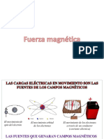 Fuerza magnetica 101020