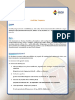 Perfil Del Proyecto PDF