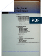 Introdução À Neurociência - BEAR, Mark F. CONNORS, Barry W. PARADISO, Michael A. Neurociências Desvendando o Sistema Nervoso. Artmed Editora, 2007.