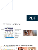La capa mucinosa de la película lagrimal: composición y funciones