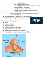 Angiospermas: Características e Evolução