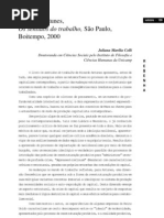 Colli, Os Sentidos Do Trabalho , Ricardo Antunes, Resenha