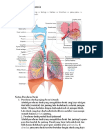 Sistem pernafasan manusia