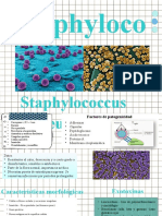 Sthapylococcus 
