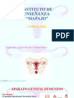 Aparato reproductor femenino_3ced51df1c8b316ea36a9cf9348a9843