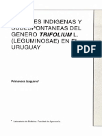 Especies Indigenas de Generotrifolium