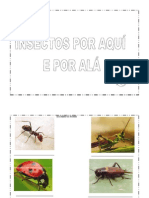 INSECTOS