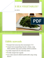 Seaweeds Sea Vegetables