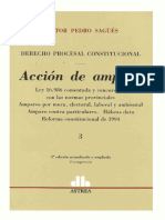 Derecho Procesal Constitucional. Accion de Amparo. 2018. Nestor Sagues