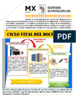 Triptico-Ciclo Vital Del Documento