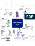 Internal Anatomy Mind Map