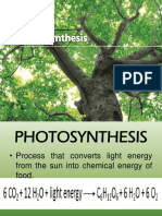 Lesson 11 Photosynthesis