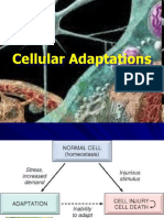 6 CellularAdaptations