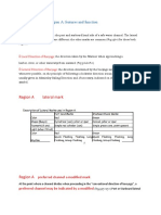 Unit 4. The Lateral - Modified Lateral Marks Region A - B Features and Function and All Marks