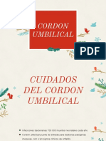 2 - Cordon Umbilical