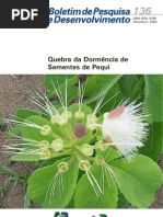Quebra-da-Dormência-de-Sementes-de-Pequi-