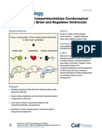 Ciliary Beating Compartmentalizes Cerebrospinal Fluid Flow in The Brain and Regulates Ventricular Development